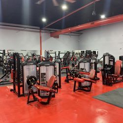 Fox Fitness