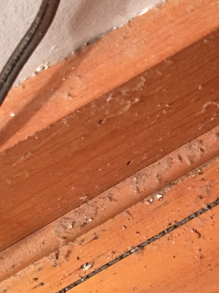 CHESAPEAKE INN OF LENOX 210 West St, Lenox, Massachusetts Hotels