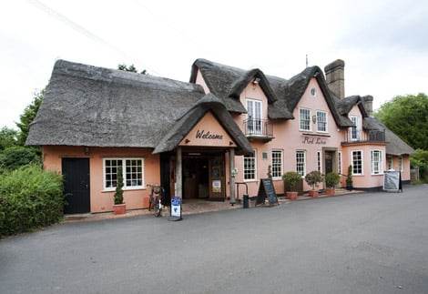 The Red Lion by null