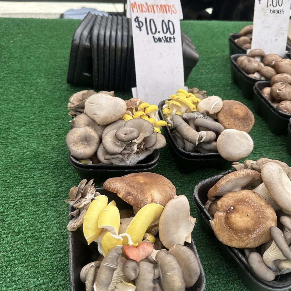 Oceanside Farmer's Market - Farmers Market Near Me - Oceanside, California