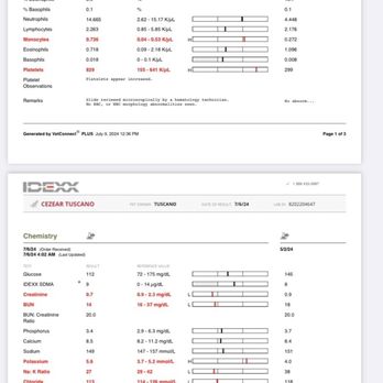 Hazel Ridge Veterinary Clinic - Blood work July - Veterinarians Near Me - Fair Oaks, California Hazel Ridge Veterinary Clinic - Blood work July - Veterinarians Near Me - Fair Oaks, California
