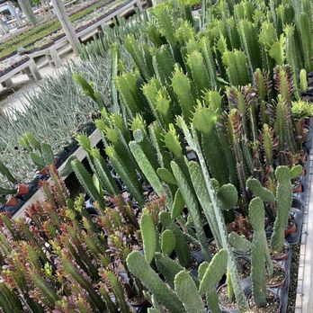 Isaac Farms - Nurseries & Gardening Near Me - Miami, Florida Isaac Farms - Nurseries & Gardening Near Me - Miami, Florida