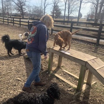 Pawz Paradise - Vint Hill Dog Park Trip - Dog Walkers Near Me - Warrenton, Virginia Pawz Paradise - Vint Hill Dog Park Trip - Dog Walkers Near Me - Warrenton, Virginia