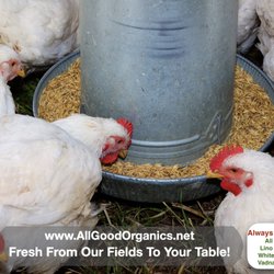 All Good Organics Farm has locally grown certified organic vegetables. All Good Organics also has free range chickens and so much! Stop by!