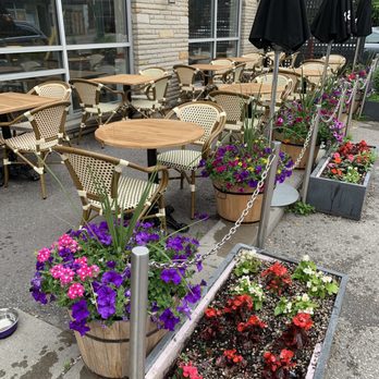 Aroma Espresso Bar - Patios - Coffee & Tea Near Me - Toronto, Ontario Aroma Espresso Bar - Patios - Coffee & Tea Near Me - Toronto, Ontario