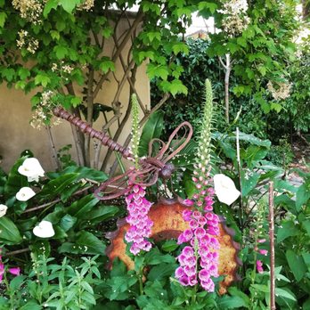 Americana House - The beautiful garden - American Near Me - Lodi, California Americana House - The beautiful garden - American Near Me - Lodi, California
