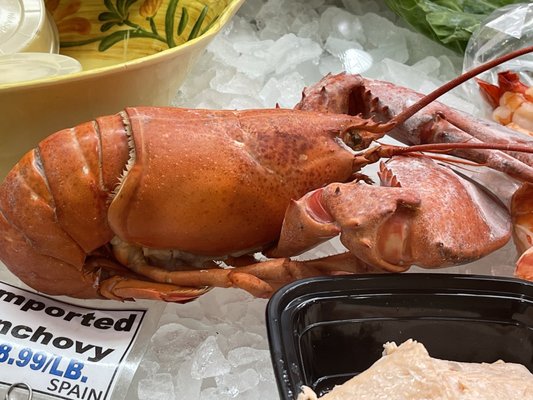 The Boys Farmers Market by null