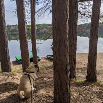 Patricia Lake Campgrounds - Patricia lake - RV Parks Near Me - Minocqua, Wisconsin