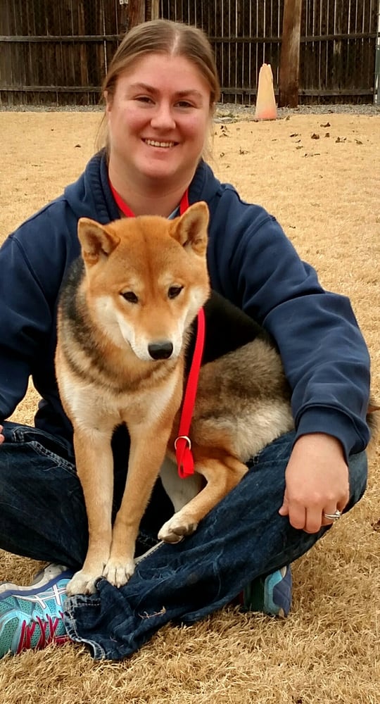 KENNEL COMFORT PET MOTEL AND DOG TRAINING Updated July 2024 22