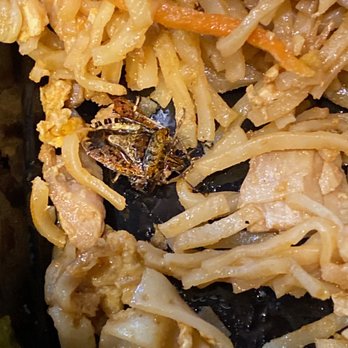 1089 Noodle House - A roach in my F29. Pad Thai with Chicken and Peanut - Chinese Near Me - Stony Brook, New York