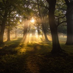 Connected Intuition - See the light with Connected Intuition