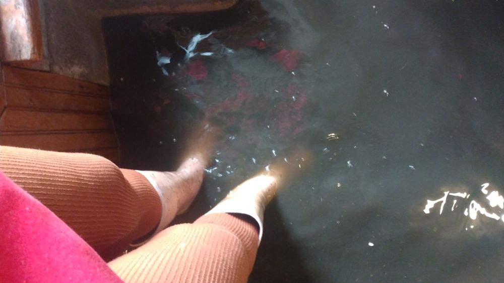 Slide of Rossi Rooter