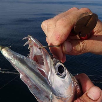 Obsession Fishing Charters - Boat Charters Near Me - Cape Canaveral, Florida Obsession Fishing Charters - Boat Charters Near Me - Cape Canaveral, Florida