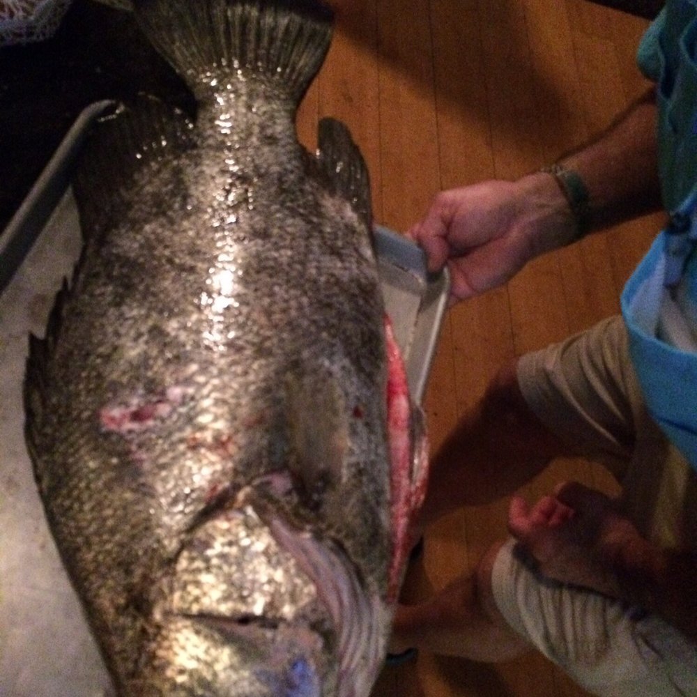 Fresh Catch Seafood Grill - Fresh catch of the day triple tail - Seafood Near Me - Stuart, Florida