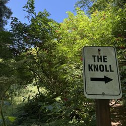The Knoll