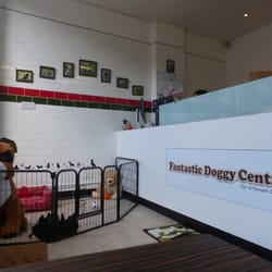 Fantastic Pet Care - Fantastic Doggy Centre