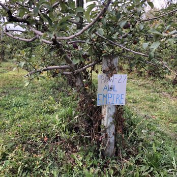 Terrace Mountain Orchard - Fruits & Veggies Near Me - Schoharie, New York Terrace Mountain Orchard - Fruits & Veggies Near Me - Schoharie, New York