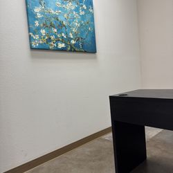 Pain Matters Wellness Center - Office Painting