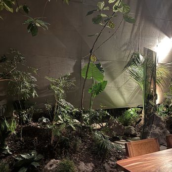 Pujol - Inside - Mexican Near Me - Ciudad de México, DIF