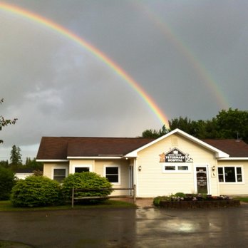 River Road Veterinary Hospital - Veterinarians Near Me - Orrington, Maine River Road Veterinary Hospital - Veterinarians Near Me - Orrington, Maine