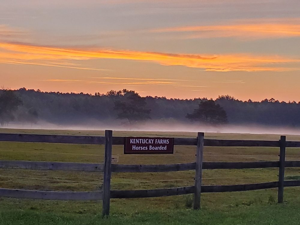 KENTUCKY FARMS Updated July 2024 108 Elm Dr, Yorktown, Virginia
