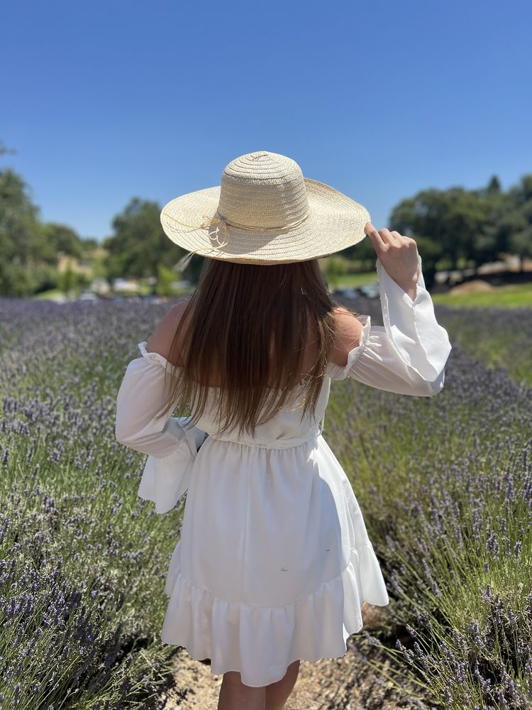 Newcastle Lavender Farms