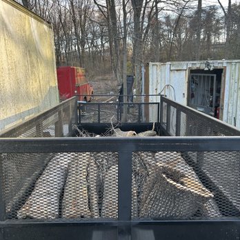 Citrine Tree Service - Tree Services Near Me Citrine Tree Service - Tree Services Near Me
