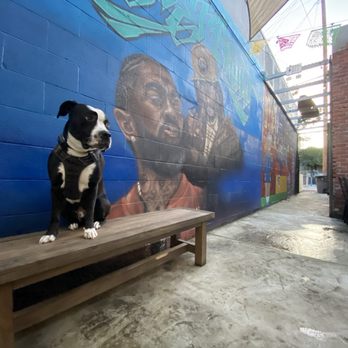 Overflow Craft Eatery - Bubs appreciates a good mural - Bars Near Me - Gilroy, California Overflow Craft Eatery - Bubs appreciates a good mural - Bars Near Me - Gilroy, California