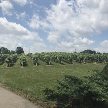 Oliver Winery - Wineries Near Me - Bloomington, Indiana Oliver Winery - Wineries Near Me - Bloomington, Indiana