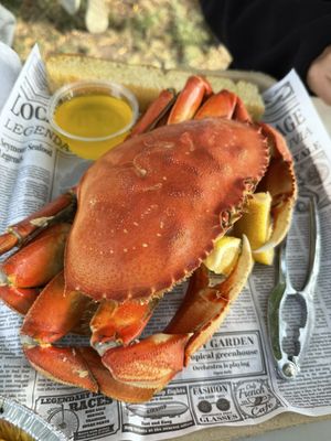 Buck Bay Shellfish Farm by null
