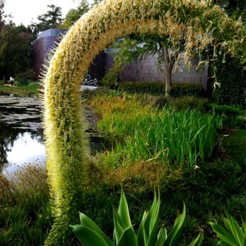 Norton Simon Museum - Art Museums Near Me - Pasadena, California