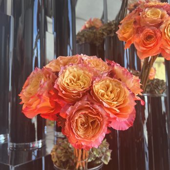 Skyhigh - Beautiful flowers - Bars Near Me - Philadelphia, Pennsylvania Skyhigh - Beautiful flowers - Bars Near Me - Philadelphia, Pennsylvania