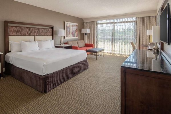 Hilton Bellevue by null