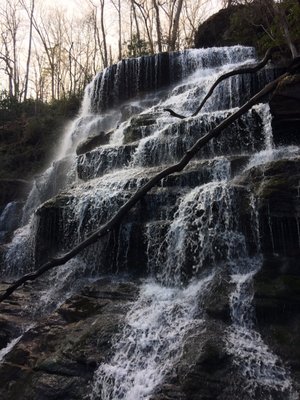 Yellow Branch Falls by null
