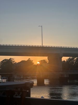 Klein's Fish Market by null