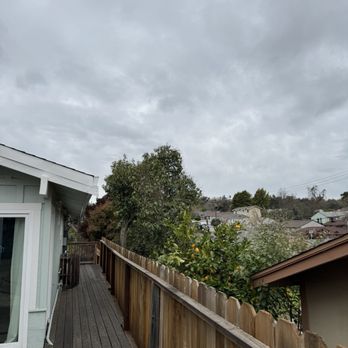 EZ Tree - After! So much better and no mess! - Tree Services Near Me - Vallejo, California EZ Tree - After! So much better and no mess! - Tree Services Near Me - Vallejo, California