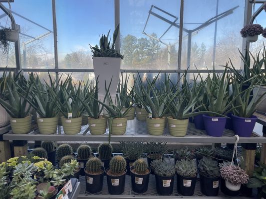 The Home Depot by null