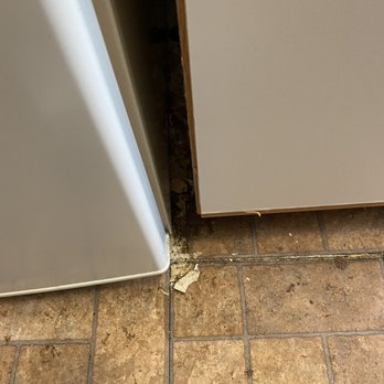 Peak Properties - You can't tell in this photo but some of this flooring isn't glued down just sitting in place - Property Management Near Me - Chicago, Illinois Peak Properties - You can't tell in this photo but some of this flooring isn't glued down just sitting in place - Property Management Near Me - Chicago, Illinois