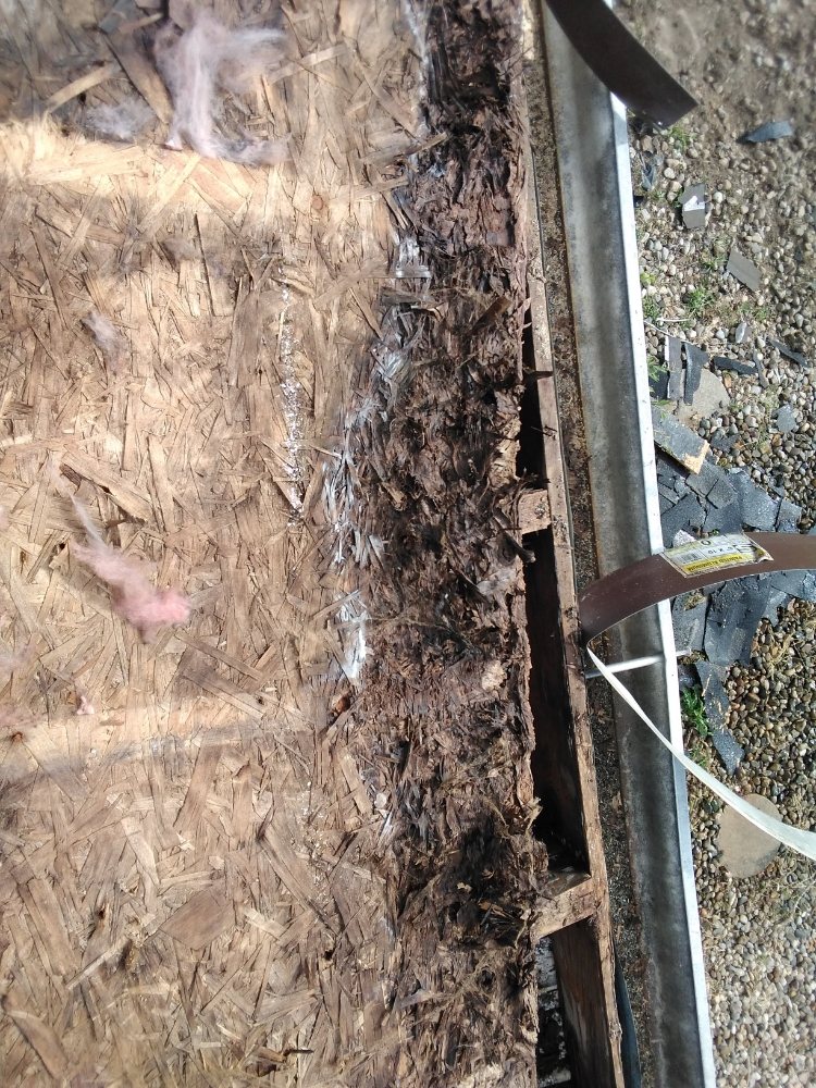 Slide of Jacks Freelance Services