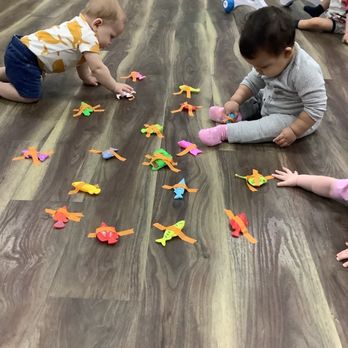Wise Owl  Daycare - Preschools Near Me - Chicago, Illinois