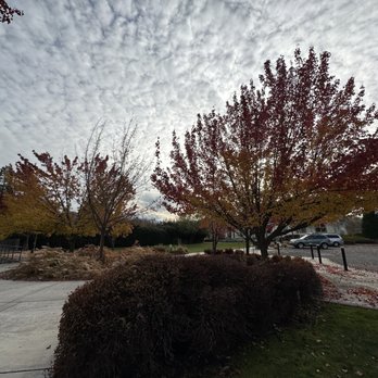 Talent Library - Libraries Near Me - Talent, Oregon