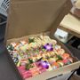 Hako Sushi Box
