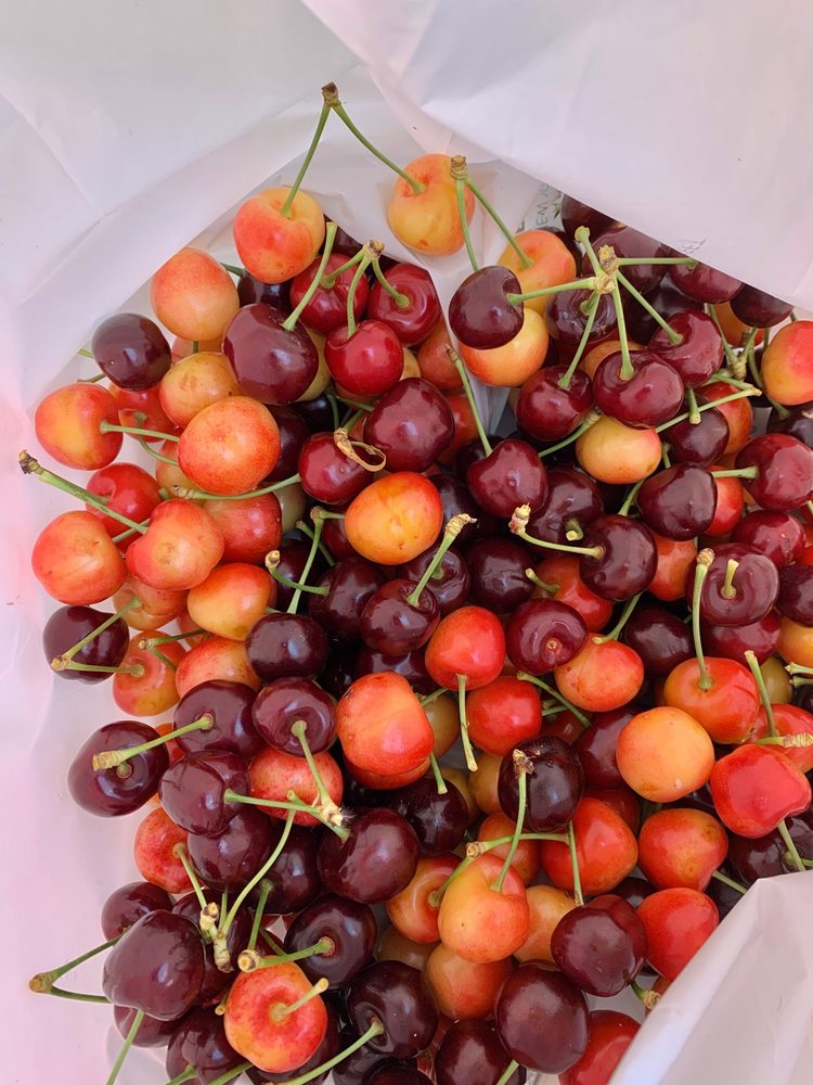 POMEROY FARM CLOSED Updated July 2024 31 Photos & 28 Reviews