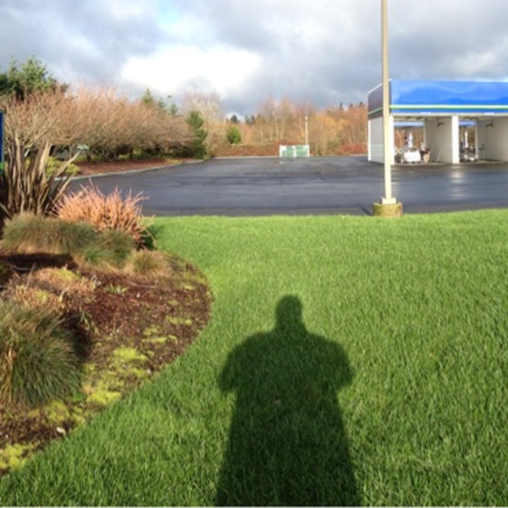 Brown Bear Car Wash - 5 Bay Car Wash - Car Wash Near Me - Bremerton, Washington Brown Bear Car Wash - 5 Bay Car Wash - Car Wash Near Me - Bremerton, Washington