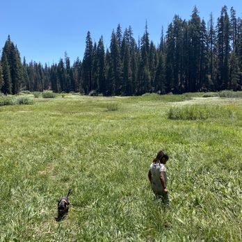 Quaking Aspen Campground - Campgrounds Near Me - Springville, California Quaking Aspen Campground - Campgrounds Near Me - Springville, California