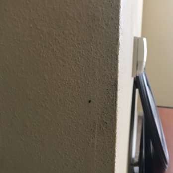 Campus Crossings on Highland - Bed bug - Apartments Near Me - Baton Rouge, Louisiana Campus Crossings on Highland - Bed bug - Apartments Near Me - Baton Rouge, Louisiana