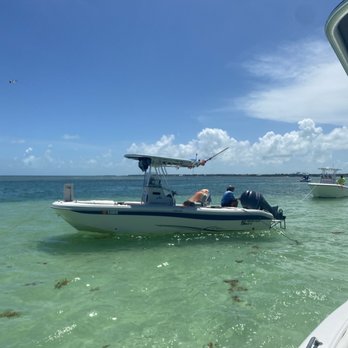 Wild Dolphin Tours - Boating Near Me - islamorada, Florida