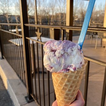 Blue Cow Ice Cream - Blueberry goat cheese! - Ice Cream & Frozen Yogurt Near Me - Roanoke, Virginia