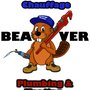 Photo of Beaver