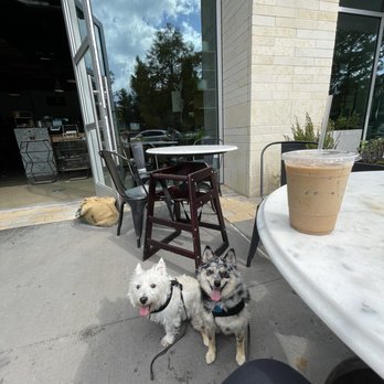Slowpokes - Pumpkin Pie Latte with the Pups on the Patio - Coffee & Tea Near Me - Houston, Texas Slowpokes - Pumpkin Pie Latte with the Pups on the Patio - Coffee & Tea Near Me - Houston, Texas